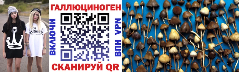 Псилоцибиновые грибы мухоморы  Вяземский 